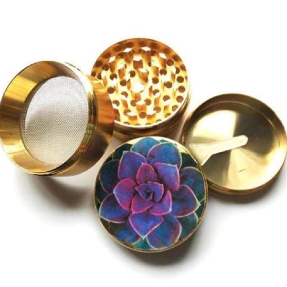 Other - Cutie Cactus Grinder 🐛